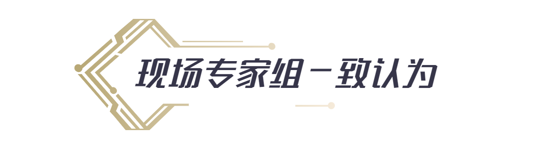 专家组.png