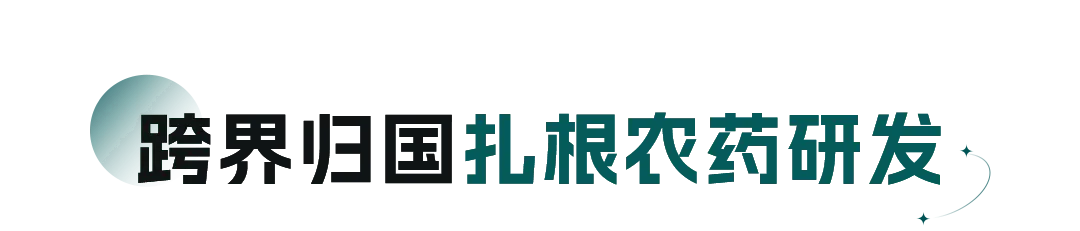 01.png 01.png