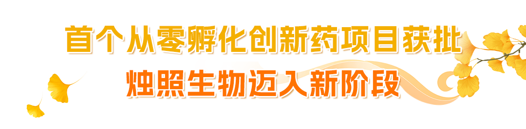03.png 03.png