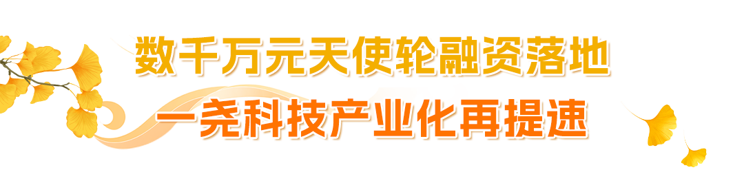 01.png 01.png